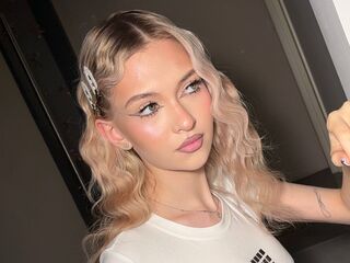 web cam live FelicaTapper